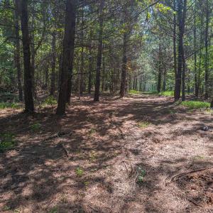Durham Co. NC 54.42-Rogers-Lot4-012