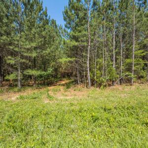 Durham Co. NC 54.42-Rogers-Lot4-017