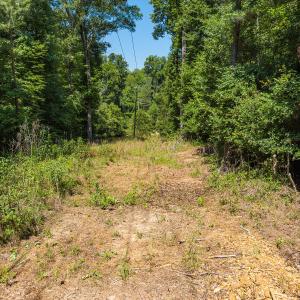 Durham Co. NC 54.42-Rogers-Lot4-022