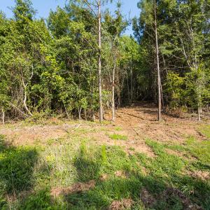 Durham Co. NC 54.42-Rogers-Lot4-027
