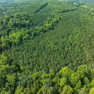 Durham Co. NC 54.42-Rogers-Lot4-029