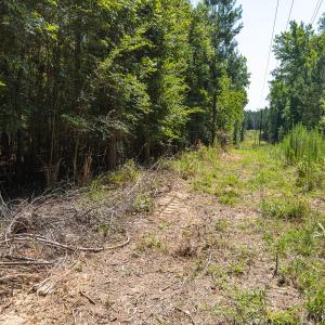 Durham Co. NC 54.42-Rogers-Lot4-030