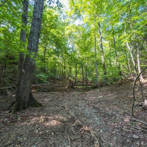 Durham Co. NC 54.42-Rogers-Lot4-034