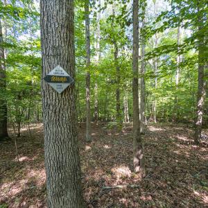 Durham Co. NC 54.42-Rogers-Lot4-037