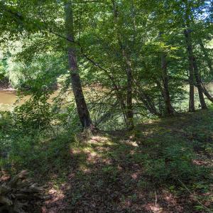 Durham Co. NC 54.42-Rogers-Lot4-039