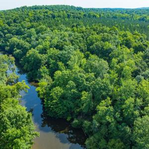 Durham Co. NC 54.42-Rogers-Lot4-041