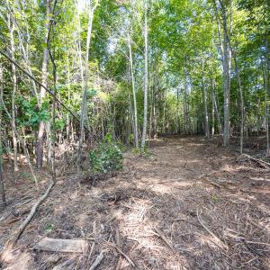 Durham Co. NC 54.42-Rogers-Lot4-043