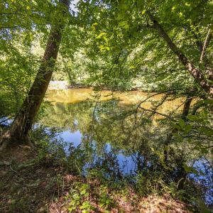 Durham Co. NC 54.42-Rogers-Lot4-046