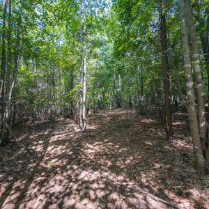 Durham Co. NC 54.42-Rogers-Lot4-047