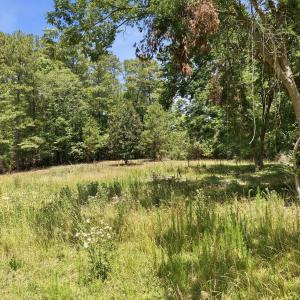 Photo #4 of 2185 Hanks Chapel, Pittsboro, NC 4.0 acres