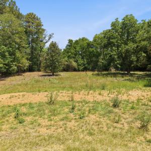 Photo #5 of 2185 Hanks Chapel, Pittsboro, NC 4.0 acres