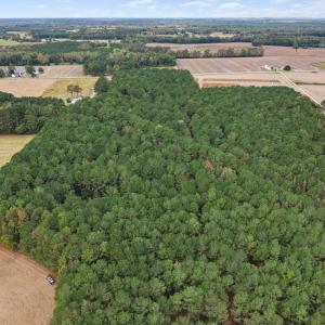 Photo #2 of Crocker, Smithfield, NC 10.8 acres
