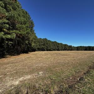 Photo #8 of Crocker, Smithfield, NC 10.8 acres