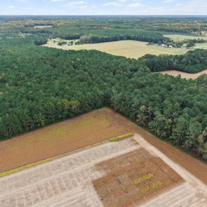 Photo #11 of Crocker, Smithfield, NC 10.8 acres