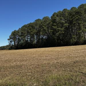 Photo #9 of Crocker, Smithfield, NC 10.8 acres