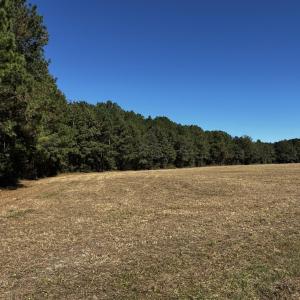 Photo #7 of Crocker, Smithfield, NC 10.8 acres