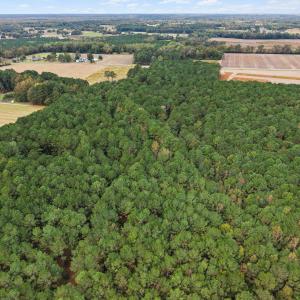 Photo #12 of Crocker, Smithfield, NC 10.8 acres
