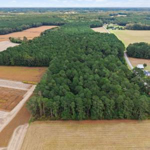 Photo #10 of Crocker, Smithfield, NC 10.8 acres