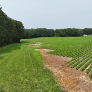 dji_fly_20260715_141002_0299_17841495199