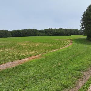 dji_fly_20260715_140858_0295_17841495213