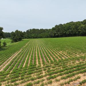 dji_fly_20260715_141018_0301_17841495192