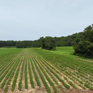 dji_fly_20260715_140958_0298_17841495203