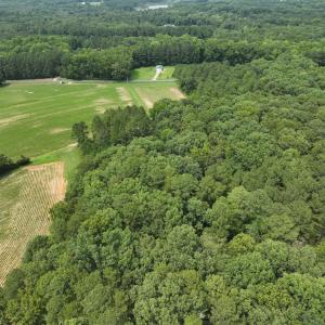 dji_fly_20260715_140536_0278_17841495280