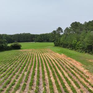 dji_fly_20260715_141054_0304_17841495182