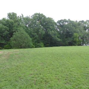DSC07065
