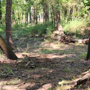 Photo #28 of Kerr Lake, Henderson, NC 3.2 acres
