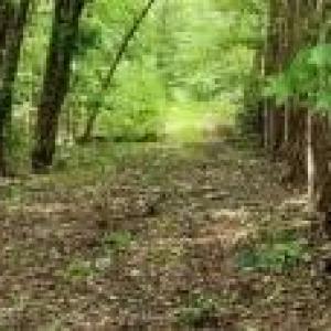 Photo #23 of Kerr Lake, Henderson, NC 3.2 acres
