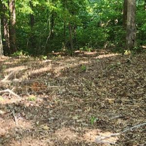 Photo #29 of Kerr Lake, Henderson, NC 3.2 acres