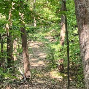 Photo #26 of Kerr Lake, Henderson, NC 3.2 acres