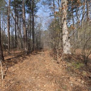 17-017-1701MitchellsChapelRd-Land-202503