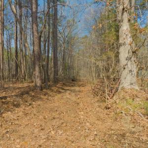 19-019-1701MitchellsChapelRd-Land-202503
