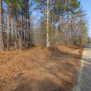 21-021-1701MitchellsChapelRd-Land-202503