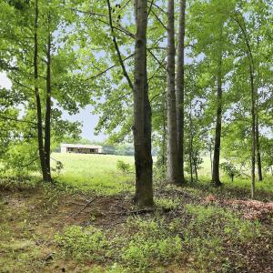 Photo #5 of 618 Bowen, Rougemont, NC 14.9 acres
