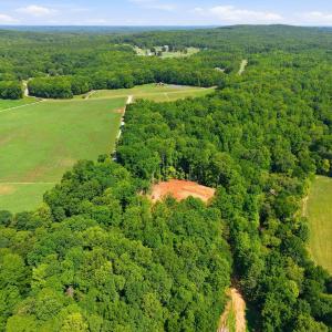 Photo #16 of 618 Bowen, Rougemont, NC 14.9 acres