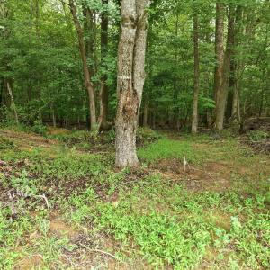 Photo #10 of 618 Bowen, Rougemont, NC 14.9 acres