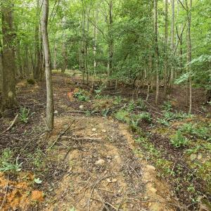 Photo #11 of 618 Bowen, Rougemont, NC 14.9 acres