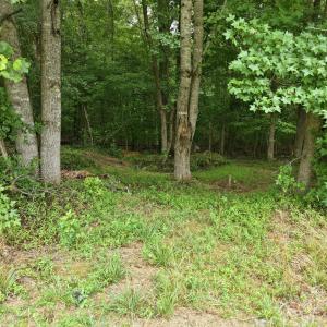 Photo #9 of 618 Bowen, Rougemont, NC 14.9 acres