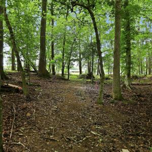 Photo #8 of 618 Bowen, Rougemont, NC 14.9 acres