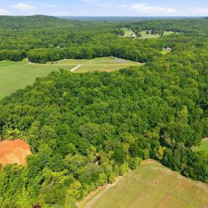 Photo #18 of 618 Bowen, Rougemont, NC 14.9 acres