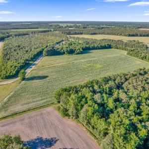 Photo #4 of Kima (lot 5), Turkey, NC 6.9 acres