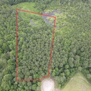 dji_fly_20260722_182130_824_178475891137