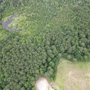 dji_fly_20260722_182136_825_178475892218