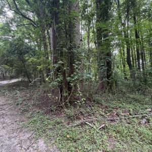 Photo #6 of 5140 Commission, Holly Springs, NC 1.2 acres
