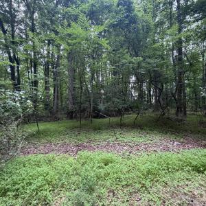 Photo #7 of 5140 Commission, Holly Springs, NC 1.2 acres