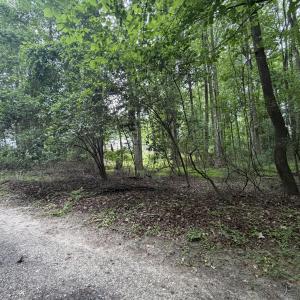 Photo #2 of 5140 Commission, Holly Springs, NC 1.2 acres