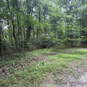 Photo #1 of 5140 Commission, Holly Springs, NC 1.2 acres